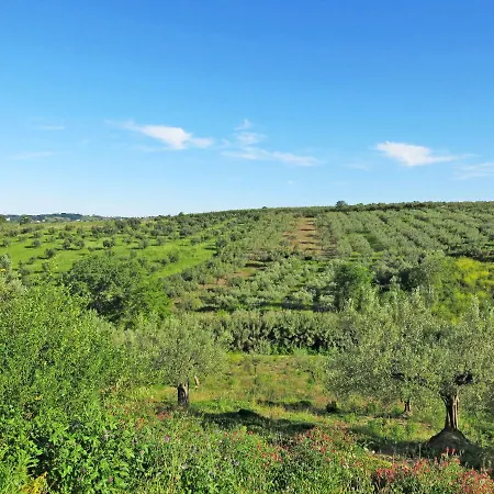 Hébergement de vacances Il Noceto By Interhome *