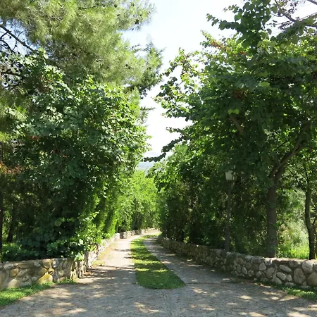 Il Noceto By Interhome * Penne